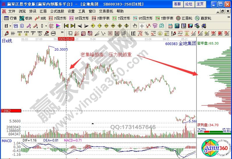 金地集團600383籌碼分布實戰
