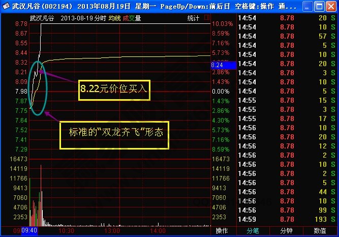 “雙龍齊飛”形態